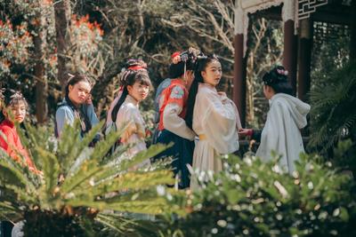 3月5日，相约通海秀山“花朝节”，邂逅春天里的花事