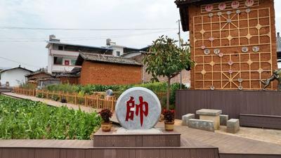 永仁猛虎乡：深耕象棋文化 赋能“四美”乡村