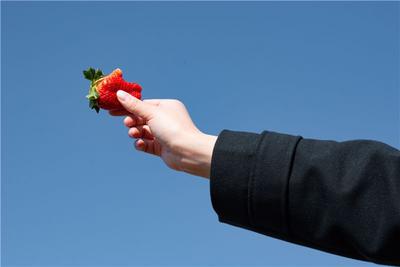 春日尝鲜，莫负春光 红河这些水果你爱了吗？