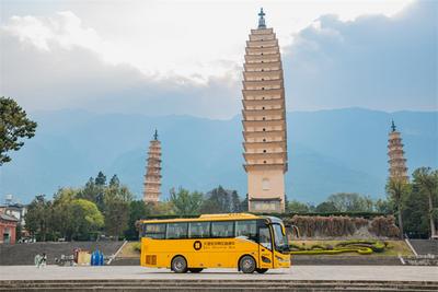 【福利】环洱海旅游观光巴士已到站，福利大放送，还不快上车！