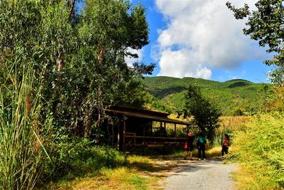 【美麗大理】春到蒼鷺谷