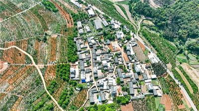 齐绘蓝图、共话发展！ 2022中国·牟定“三月会”左脚舞云上文化节之“云招牟定”即将启幕