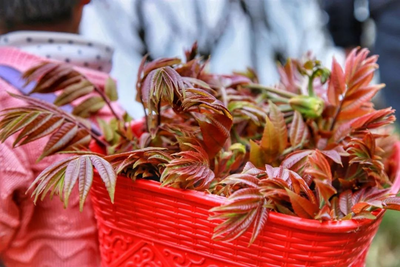 【云南人游大理 大理人游大理】关于鹤庆，舌尖味蕾上的相逢