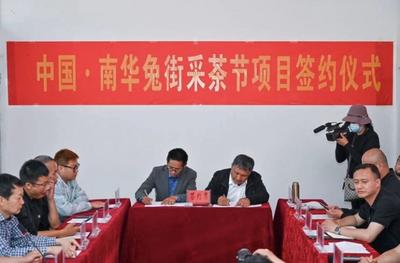 哀牢古国·千年贡茶｜专家学者共论茶业，南华兔街大有可为！