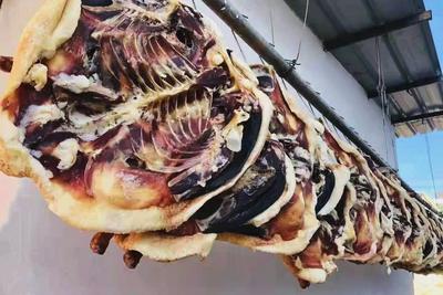 永仁传统美食技艺——五香腊鹅