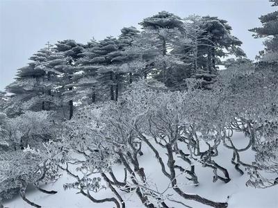 【清明特辑】清明遇上苍山雪 山巅美景引客来！