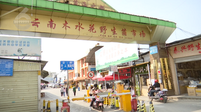 @吃货们！这批头水菌在昆明上市了，价格是→