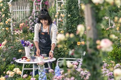 【开放大理】“扛”着上千盆多肉  一家三口到大理安了家