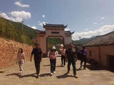 楚雄州博物馆调研永仁县文物保护工作：保护历史遗珍 传承永仁文脉