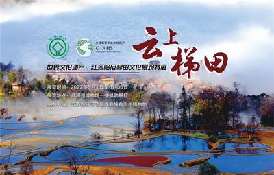 “五一”与红河约会 | “云”游文化场馆