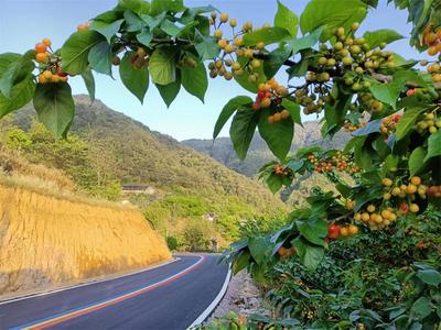 普洱景东黄草岭“彩虹路”上线，无量山居半山酒店即将投入运营！