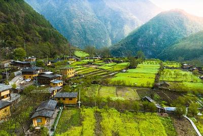 走近茶腊村，体验特色乡村旅游