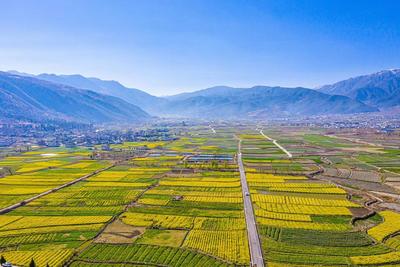 【一月一县市·洱源】发展“农文旅”模式 打造凤羽乡村旅游靓丽名片