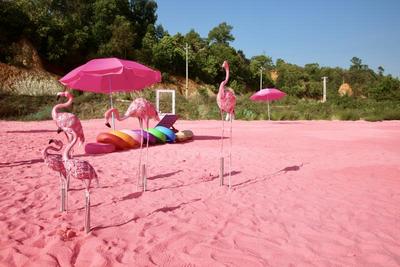 粉色沙滩惊艳亮相！玉溪七号田庄等你来打卡！