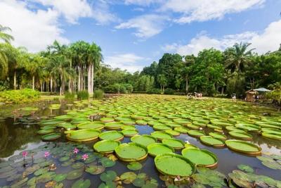 @所有人 西双版纳为您送上这份“五一”旅游大礼包 请查收！