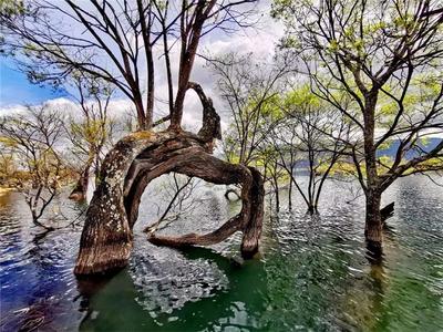 【有一种生活叫大理】鹤庆踏青路线推荐：观潭鉴水  自在春行