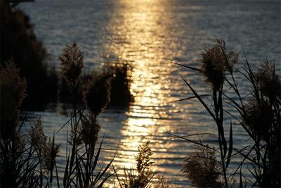 在吗？进来看红河最美日落