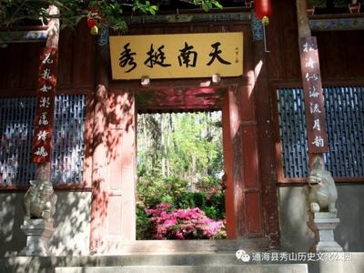 玉溪通海：转角处最美的遇见——秀山·杜鹃