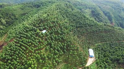 普洱墨江：深度挖掘文旅资源，助推康养旅游高质量发展！