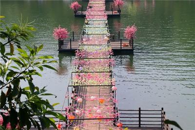 云南人游云南·普洱篇｜“五一”假期天天发班，普洱一日游带你打卡新玩法