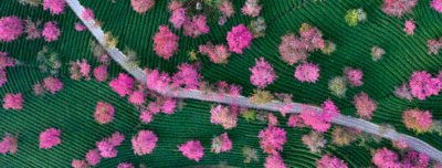 【有一种生活叫大理】“三月街”去哪玩？快来打卡大理这些宝藏地