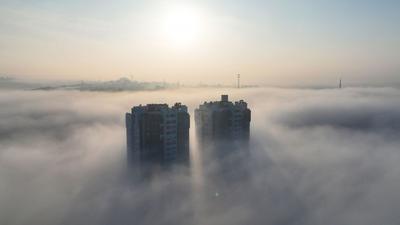 四月晨雾中的梦幻永仁