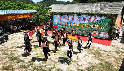 哀牢古国·千年贡茶 | 相约兔街，还有这些精彩体验！