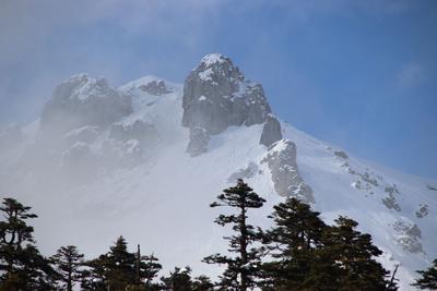 邂逅香格里拉四月雪落花开的美景