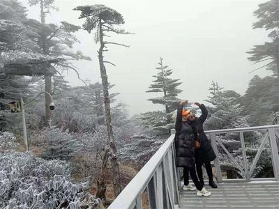 【清明特辑】看！大理文旅清明假期
