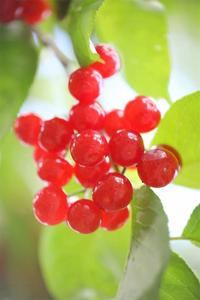 【线路推荐】用一场森系徒步赶赴立夏之约吧！