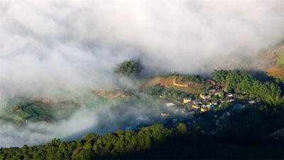 最高1919元/公斤！“关山1919”春茶定价发布会，带你走进普洱大芦山