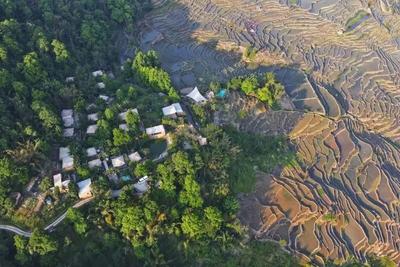  云游 | 春光无限好，我们一起去露营吧！