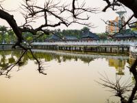 图集 | 蒙自南湖公园