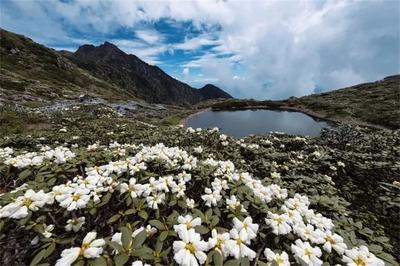 【有一种生活叫大理】“三月街”去哪玩？快来打卡大理这些宝藏地