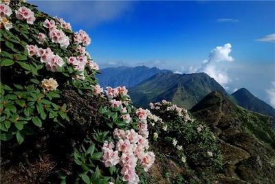 【有一种生活叫大理】“三月街”去哪玩？快来打卡大理这些宝藏地