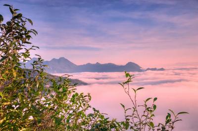 云南人游临沧│“五一”自驾出游，遇见茶尊临沧