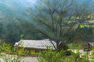 图集 | 丙中洛镇的“南大门”茶腊景区