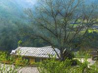 图集 | 丙中洛镇的“南大门”茶腊景区