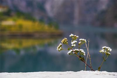 谷雨 | 雨生峡谷 润泽万物  