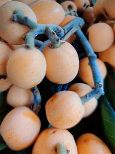 【线路推荐】用一场森系徒步赶赴立夏之约吧！