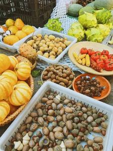 【有一种生活叫大理】明天10:30，邀您一起云游“大理gāi”