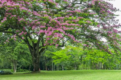 创意集市、文化盛宴 西双版纳泼水节还有这些活动等着你