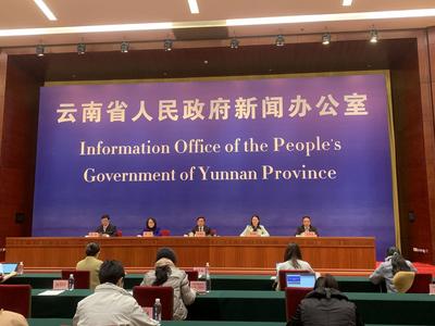 聚焦减税降费！云南这场新闻发布会干货满满