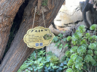 【美丽大理】一起挂牌牌！来苍山植物园给花木配“身份证”啦