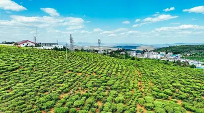 云游牟定 4月26日正式启程