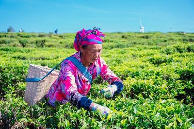 收获满满！主流媒体牟定行顺利结束