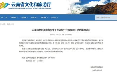 公示 | 红河州5家旅行社、1家旅游演艺企业拟获纾困补助！