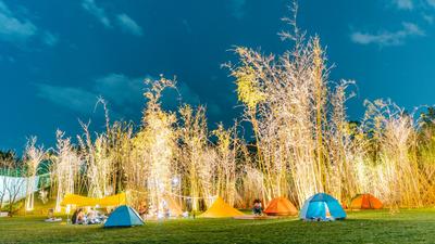 春天之约 | 带你玩转红河精致露营！