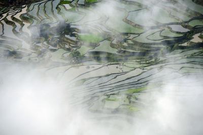 谷雨｜带你去红河哈尼梯田走一走