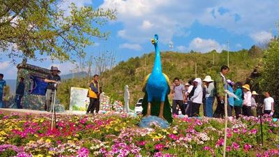 永仁县万马村：产业兴村庄美 融合发展有前景